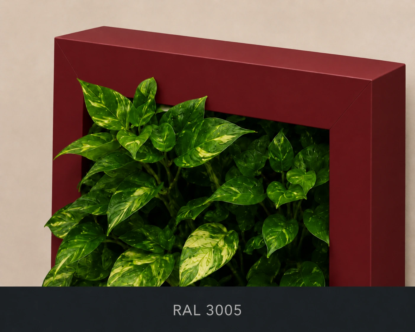 RAL 3005