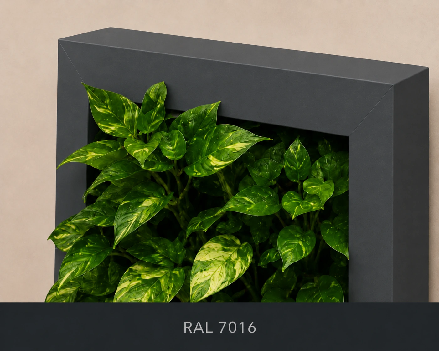 RAL 7016