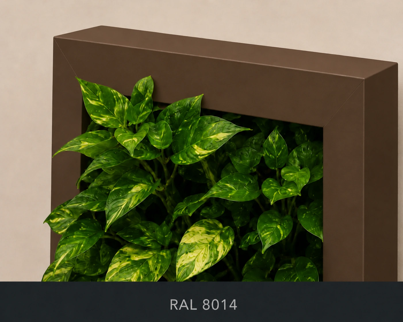 RAL 8014