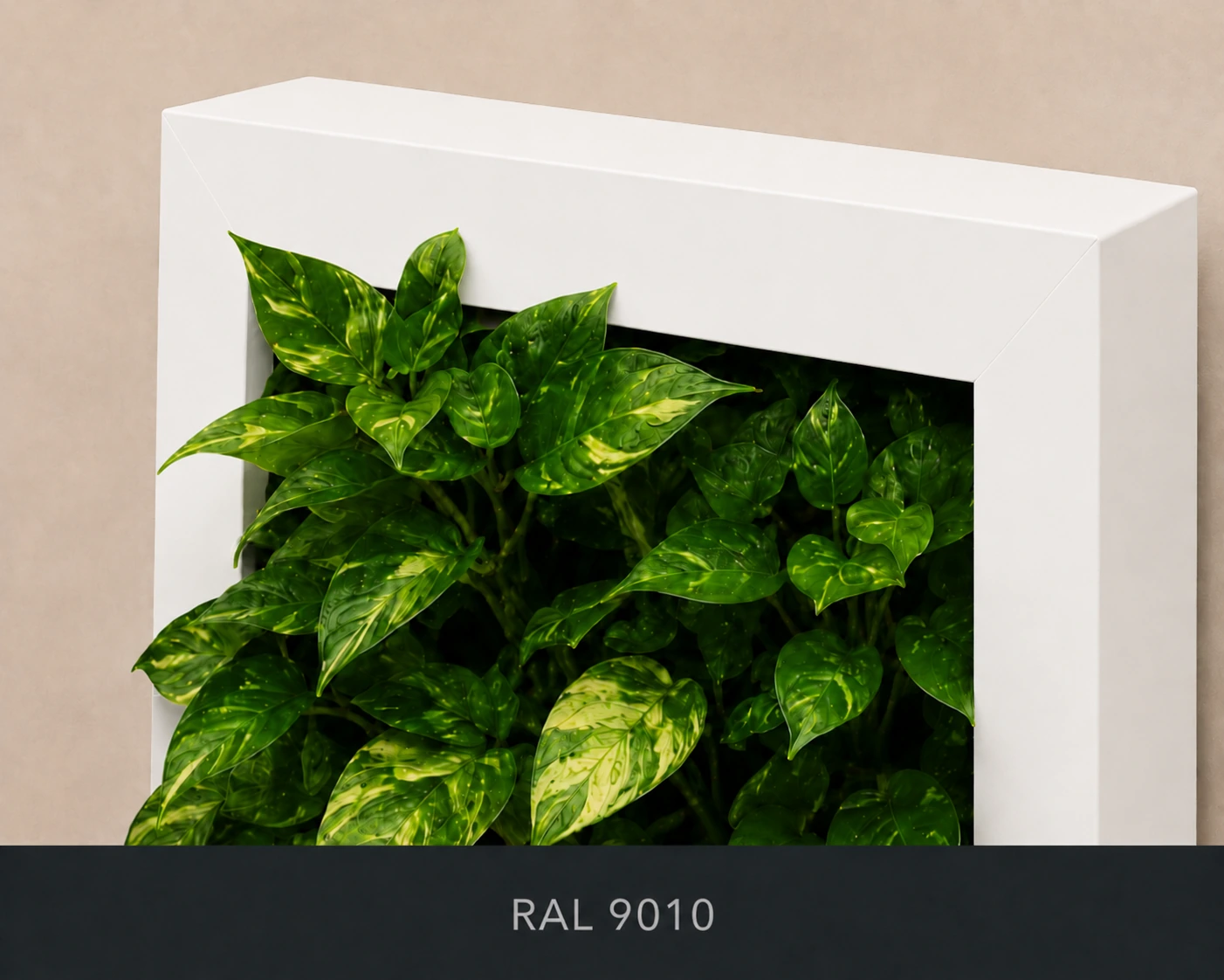 RAL 9010