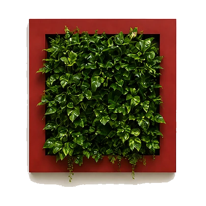 Modulo vegetale quadrato con cornice rossa